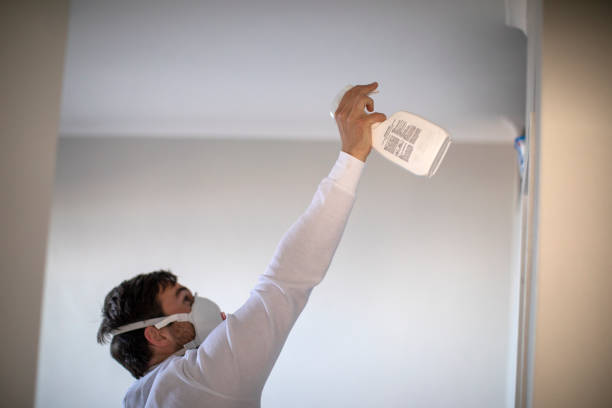 Best Residential Mold Remediation in Fort Mill, SC