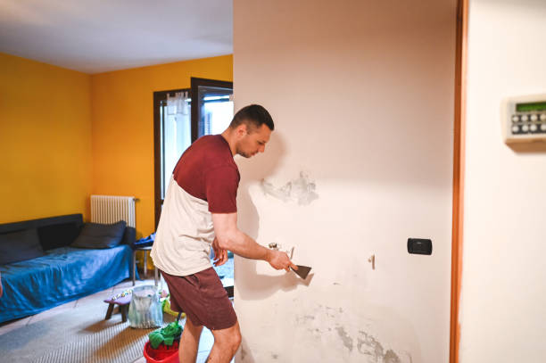 Best Preventive Mold Services in Fort Mill, SC